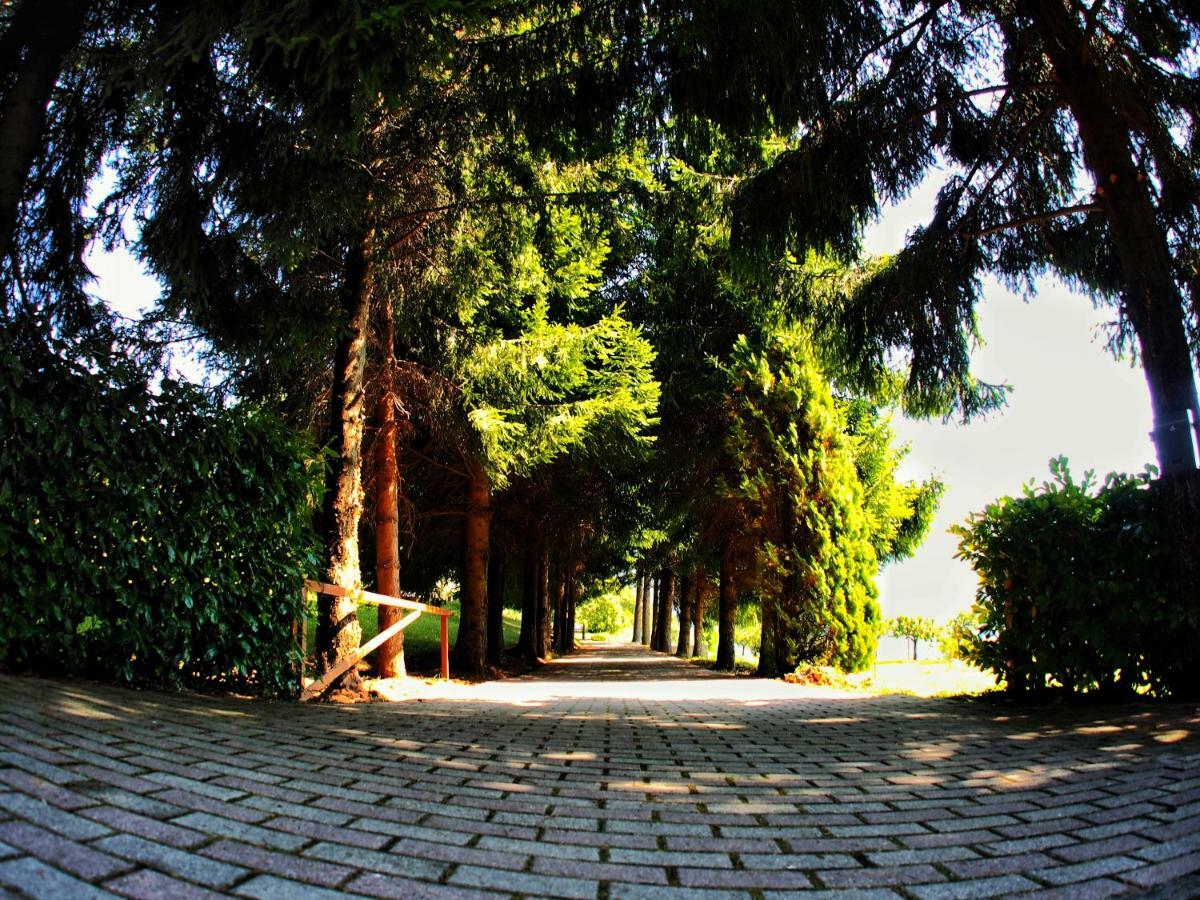 Вилла Casa Vacanza Pratolungo Zogno Экстерьер фото